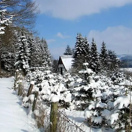 Holiday home Cosy In Menkhausen Near The Area Schmallenberg