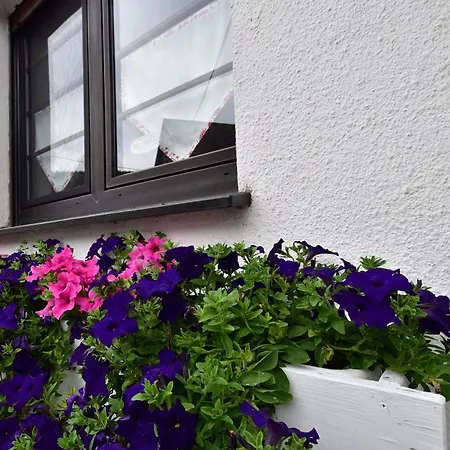 Appartement In Menkhausen Near Slopes Schmallenberg